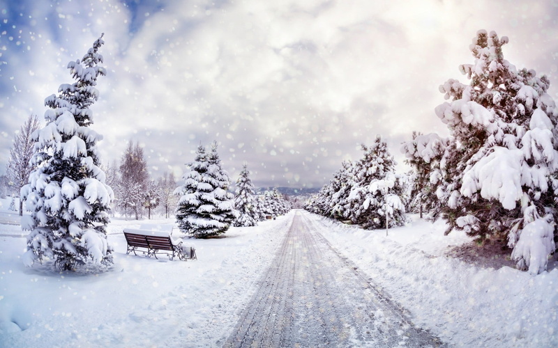 no people, cloud - sky, direction, sky, white color, bench, plant, snowing, nature, tranquil scene, beauty in nature, covering, blizzard, extreme weather