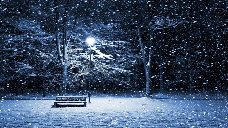 no people, snow, beauty in nature, outdoors, tree, plant, bench, transportation, park bench, mode of transportation, blizzard, 1080P, gray, snowing, nautical vessel