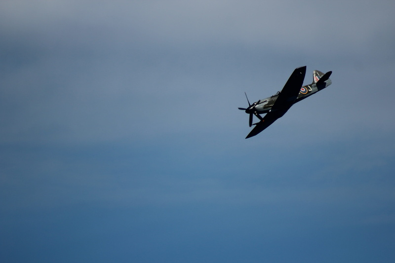 plane, airplane, battle of britain, fly, fast, history, mode of transportation, air vehicle, sky, 5K, day, animal themes, pilot, fighter, aerospace industry