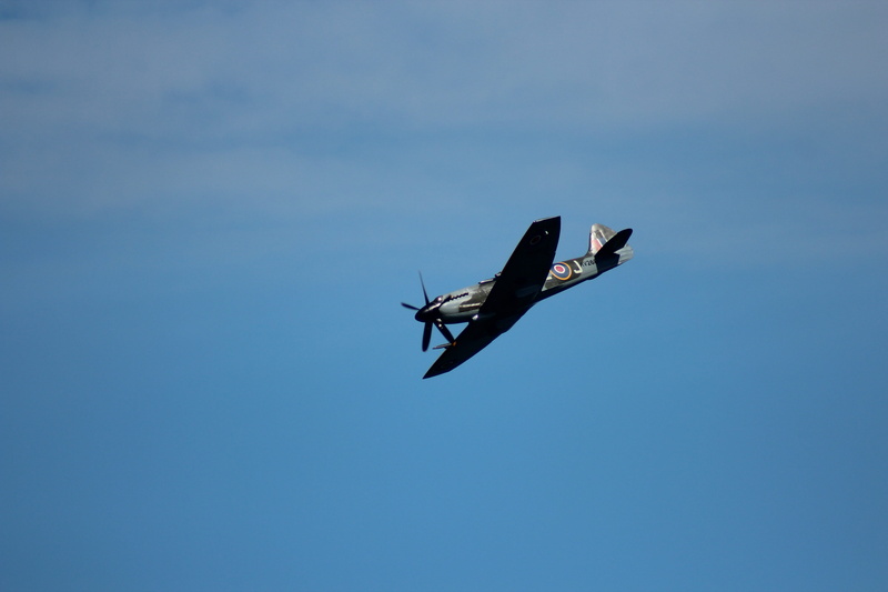 historic flight, war, animals in the wild, clear sky, outdoors, aviate, one animal, airplane, airshow, battle of britain, sky, raf, transportation, flying