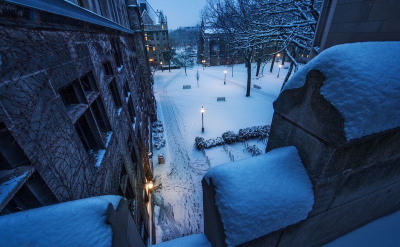 nature, plant, illuminated, covering, high angle view, Illinois, Winter, building exterior, Snow, Quad, cold temperature, building, 4K, post, university of chicago