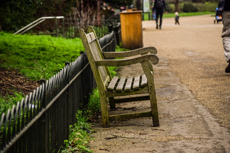 empty, metal, nature, park, bench, calm, seat, united kingdom, the way forward, field, wood - material, barrier, solitude, hyde park, no people, absence