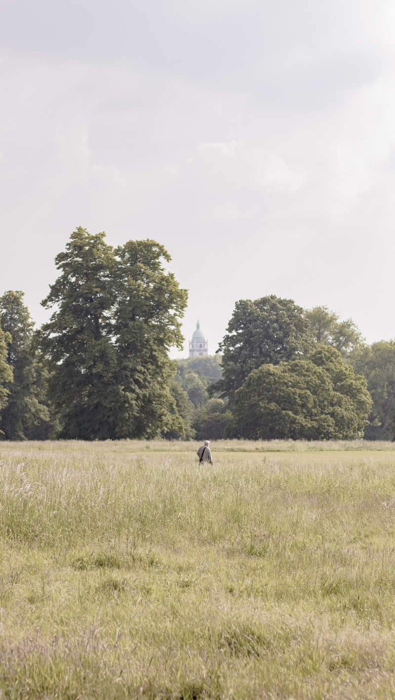 land, 5K, field, no people, outdoors, tree, environment, park, one animal, nature, tranquil scene, hyde park, fantasy, man, plant, united kingdom, grass