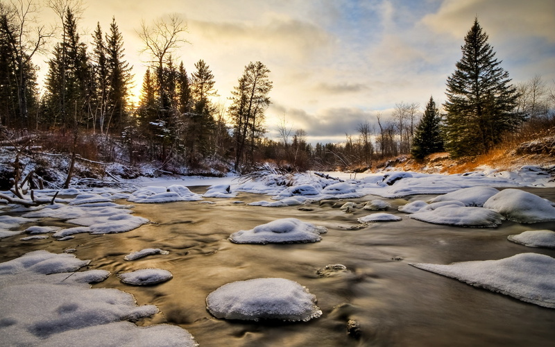 2K, wonderland, winter