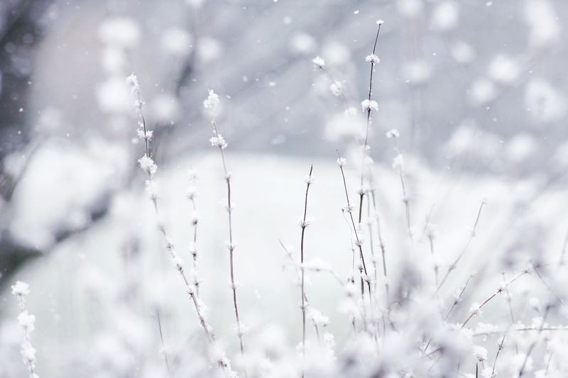 art, wonderland, hd, 4K, x, Winter, nature