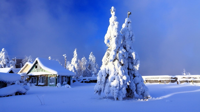 nature, 1080P, white landscape, wonderl, wonderland, snowy, nature and landscapes, snow, winter