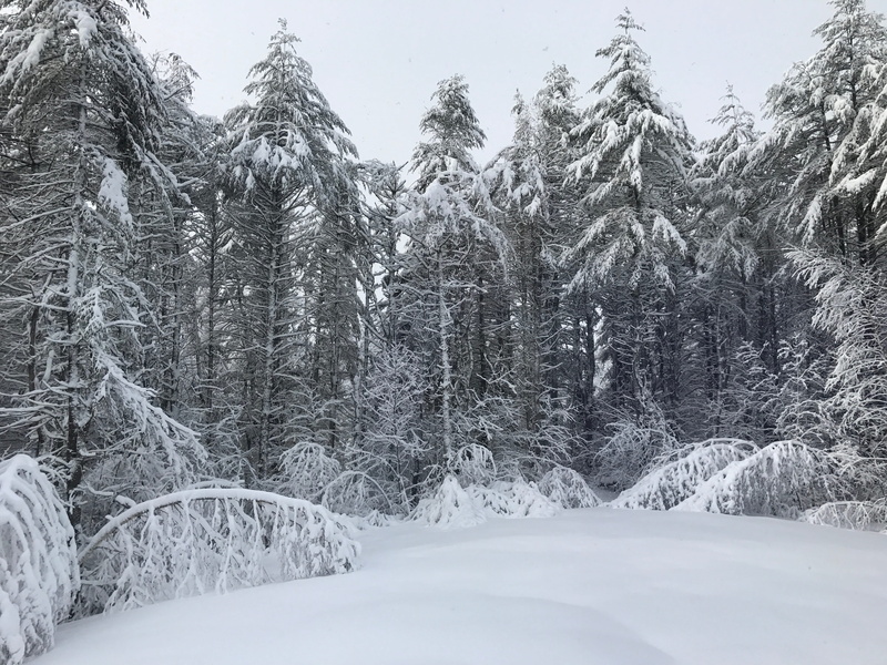 frozen, scenics - nature, 4K, ice, snowing, beauty in nature, land, wonderland, landscape, snowcapped mountain, february, white color, frost, nature, scenic