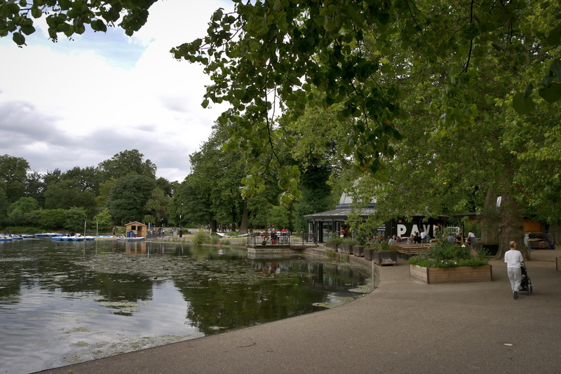 nature, chill, outdoors, sky, trees, men, crowd, london, growth, relax, walking, incidental people, day, tree, cloud - sky, leisure activity, group of people