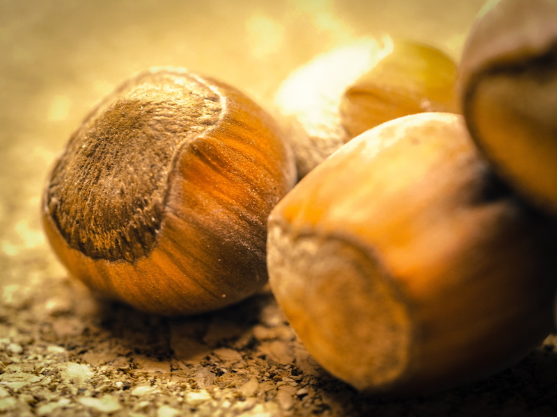 hazelnuts, nuts, tree fruit, macro, nut - Food, nut, ripe, selective focus, nutshells, close-up, 4K, no people, eat, still life, almond, shell, group of objects