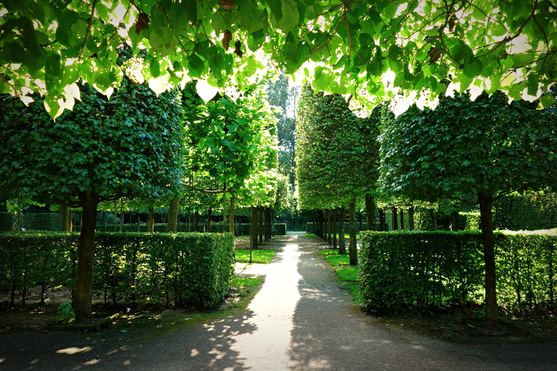 gray, park, no People, sunlight, outdoors, garden, foliage, surrounded, treelined, trees, beauty in nature, park - Man Made Space, daytime, concrete, leaf