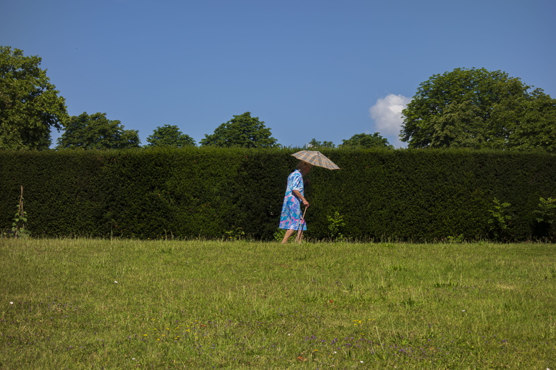 women, person, green color, standing, hedge, giraffe, plant, casual clothing, clothing, girls, land, woman, sky, vegetation, grass, childhood, one person