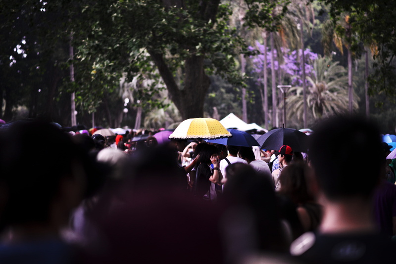 nature, city life, people, group of people, adult, waiting, women, rain, umbrella, city, wet, plant, protection, security, crowd, outdoors, sydney, 5K