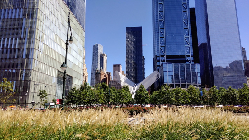 building, grass, nature, plant, cityscape, financial district, clear sky, united states, day, landscape, new york, architecture, office, modern, 185 greenwich st