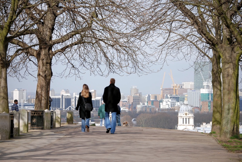 winter, adult, outdoors, togetherness, lifestyles, full length, walking, men, london, bare tree, day, skyline, two people, plant, rear view, footpath, architecture