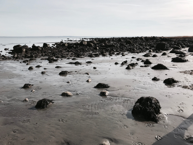 sand, solid, tranquil scene, horizon, scenics - nature, rock - object, rock, land, day, sea, horizon over water, beauty in nature, greenwich, tranquility