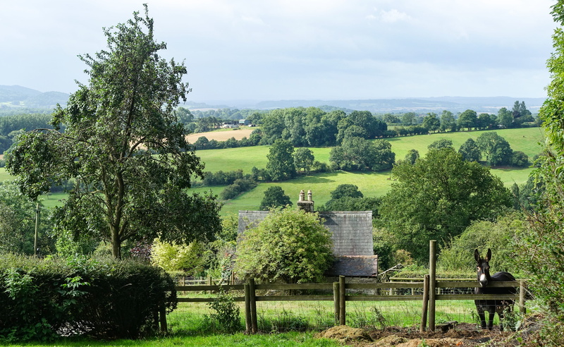rural scene, great malvern, day, scenics - nature, environment, green, land, tree, agriculture, town, nature, sky, beauty in nature, village, no people