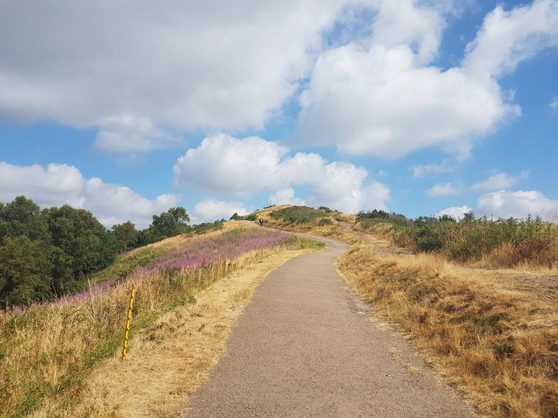 scenics - nature, day, tranquil scene, environment, sky, nature, cloud - sky, long, diminishing perspective, 4K, hills, plant, direction, malvern, outdoors