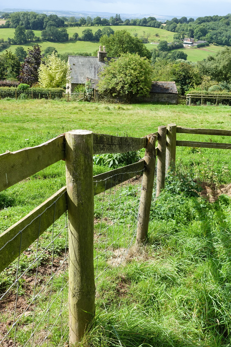 tree, scenics - nature, england, outdoors, great malvern, barrier, united kingdom, summer, beauty in nature, nature, no people, boundary, grass, wood - material