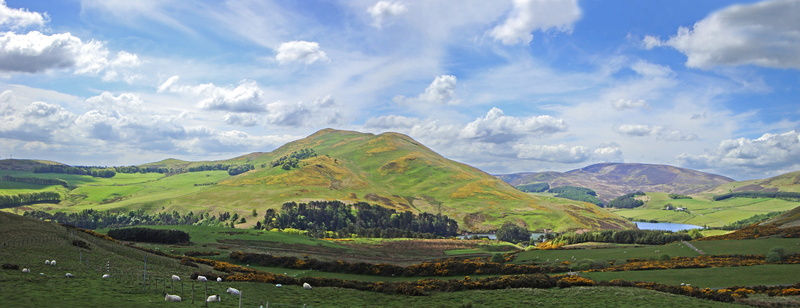 tranquil scene, scenics - nature, farming, sheep, outdoor, green color, 4K, cloud - sky, landscape, plant, mountain, shelter-belt, land, no people, beauty in nature