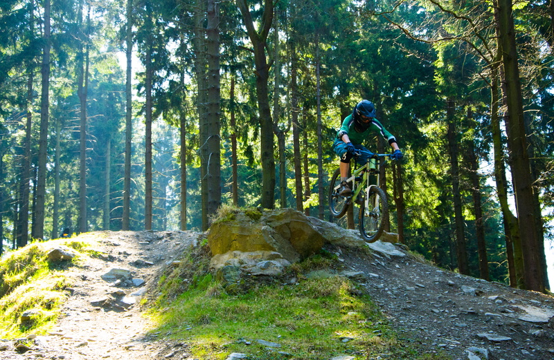 4K, riding, lifestyles, outdoors, bicycle, cycling, land, woodland, transportation, sport, plant, forest, bikepark willingen, activity, helmet, ride, headwear