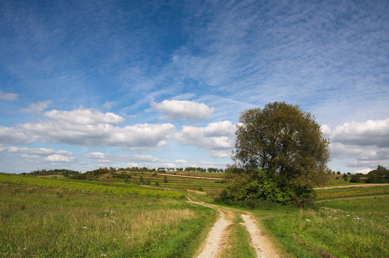 blue, field, krakow-czestochowa upland, nature, road, the way forward, direction, no people, diminishing perspective, tree, beauty in nature, scenics, Landscape