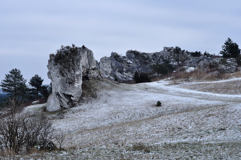 non-urban scene, tree, land, scenics - nature, mirsk, 2K, cloud - sky, tranquility, solid, winter, poland, sky, rock formation, plant, outdoors, nature