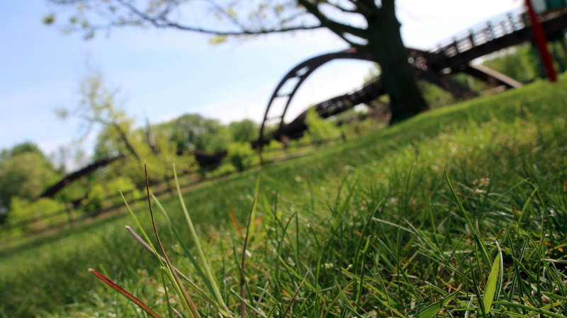 land, no people, nature, scenery, transportation, selective focus, landscape, 5K, tranquility, non-urban scene, green color, rural scene, michigan, summer