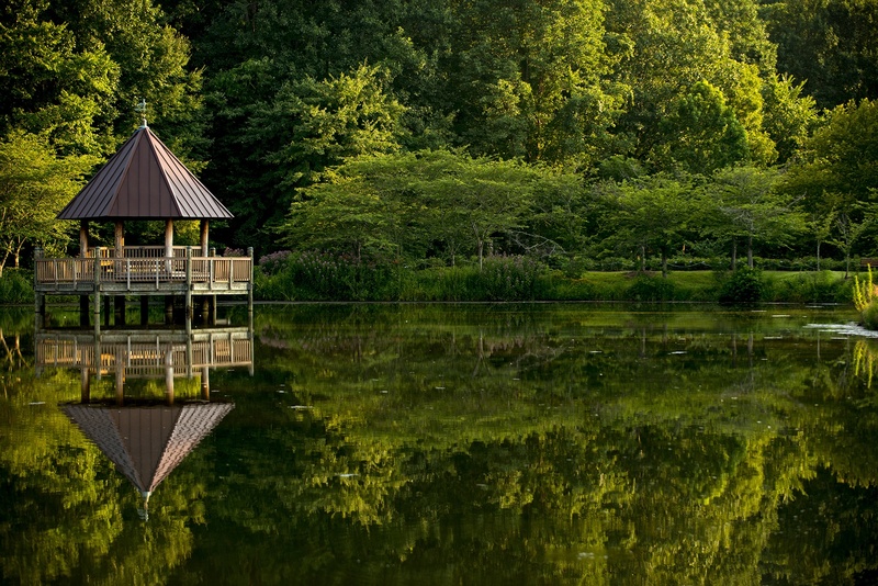 water, no people, landscape, forest, virginia, pond, summer, gazebo, tress, growth, beauty in nature, lake, park, outdoors, green color, architecture, outdoor