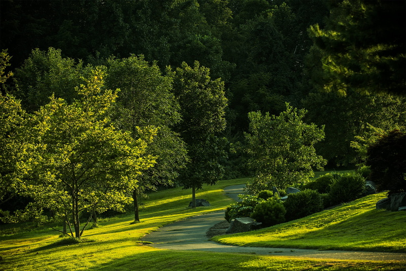 photo, daytime, non-urban scene, no people, park, shadow, tree, beauty in nature, green, tranquil scene, leafed, plant, meadowlark botanical gardens, walk
