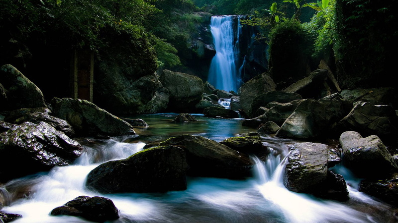 lake, park, rocks, flowing, beauty in nature, purity, splash, waterfall, rock formation, outdoors, nature, aquarium, wild, falling water, trees, environment