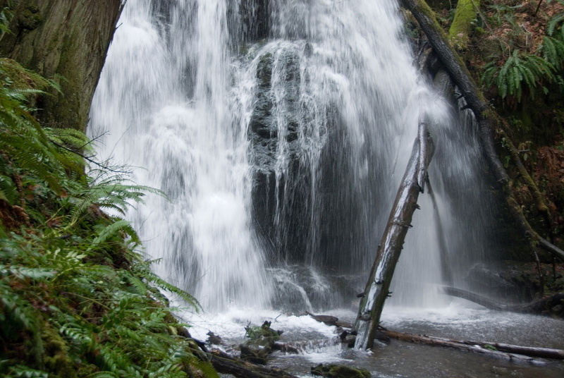 fresh, forest, rainforest, photography, relax, environment, blurred motion, waterscape, no people, scenic, scene, flowing, Flow, current, creek, cascade