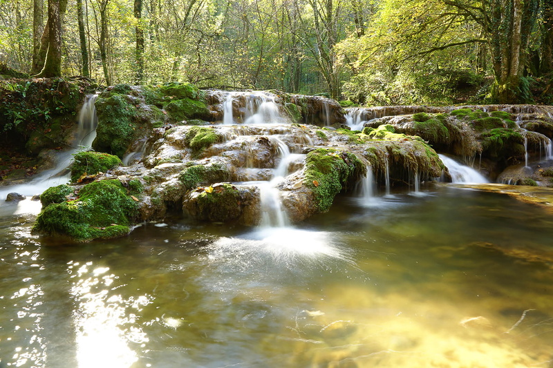 view, nature, rock, stone, daytime, fault, scenery, travel, woodland, daylight, forest, scenics - nature, summer, no people, day, creek, water, stream