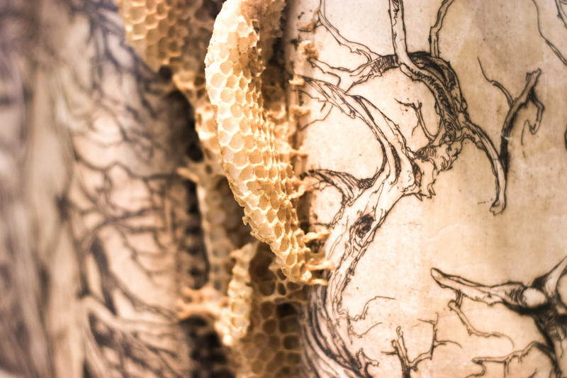 the past, art and craft, art, creativity, plant, susquehanna art museum, pattern, old, history, museum, 50mm, ladislav hanka, design, united states, susquehanna