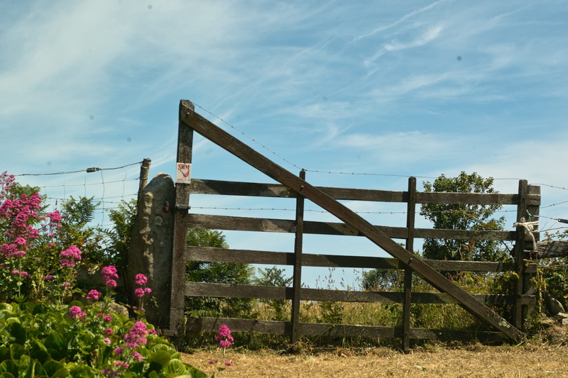 cloud - sky, no People, connection, fence, day, 2K, colors, fields, gate, spring, flower, flowering, outdoors, landscape, plant, transportation, Sky, land