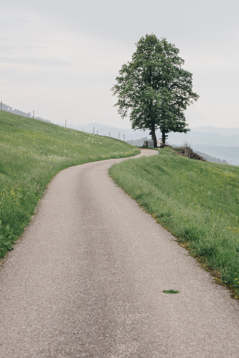 landscape, outdoor, nature, black, tranquility, european, trip, no people, field, journey, travel, hill, scenery, scenic, transportation, the way forward