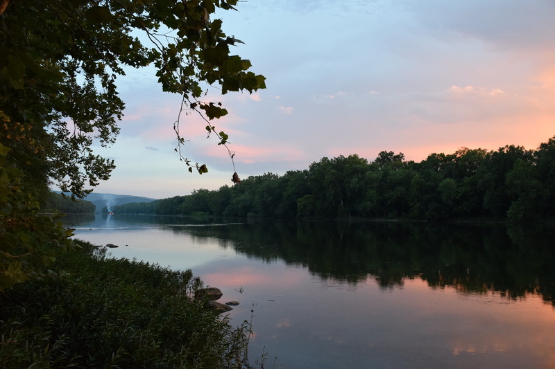 trees, tree, recreation, idyllic, plant, nature, tranquil scene, water, travel, waterfront, maryland, twilight, scenics - nature, 1080P, landscape, reflection