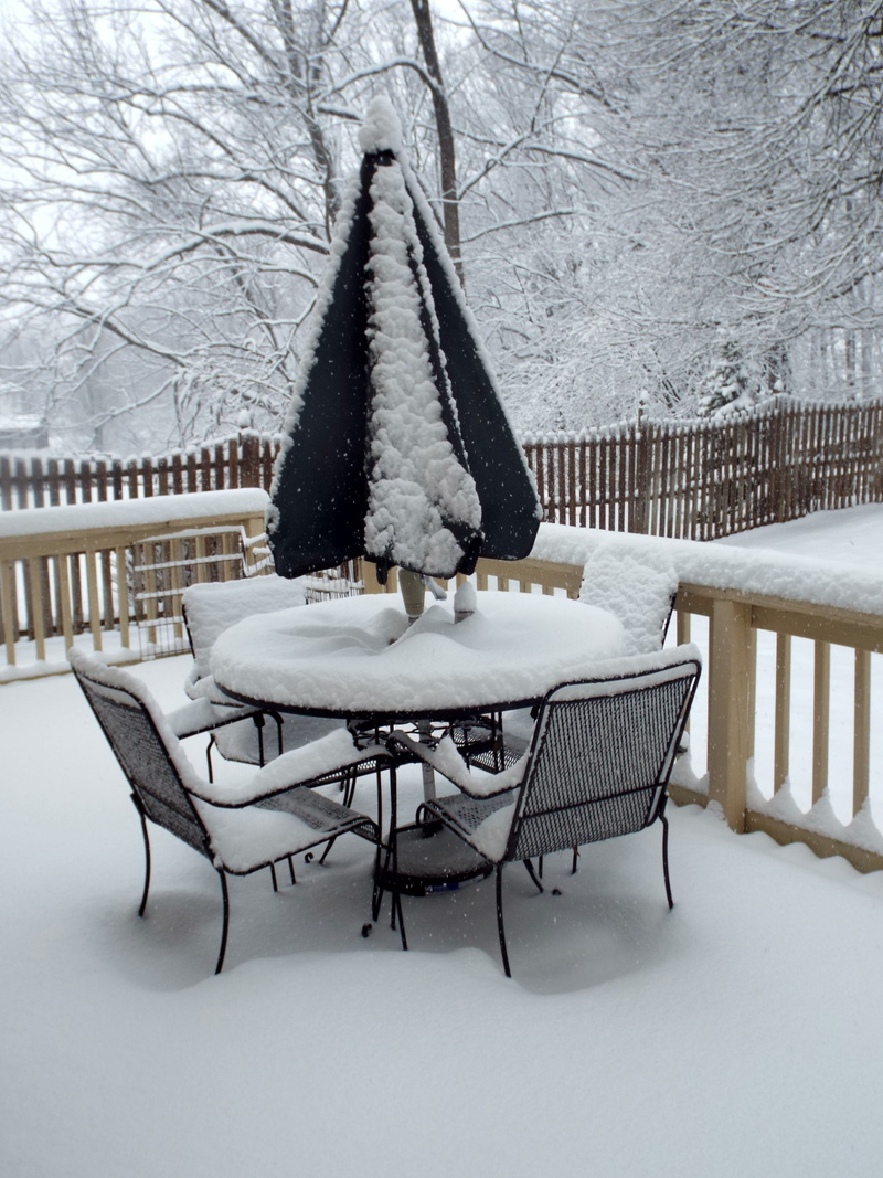 frozen, north potomac, snow, outdoors, back deck, white color, day, bare tree, bench, architecture, 4K, winter, cold temperature, table, covering, snowing