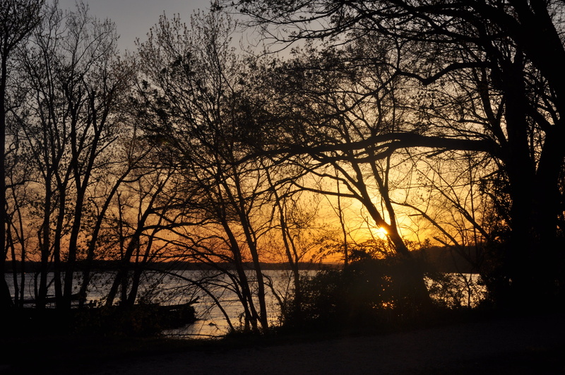 lake, outdoor, tranquil scene, sunset, scenics - nature, reflection, scenic, land, beauty in nature, no people, non-urban scene, 4K, bare tree, outdoors