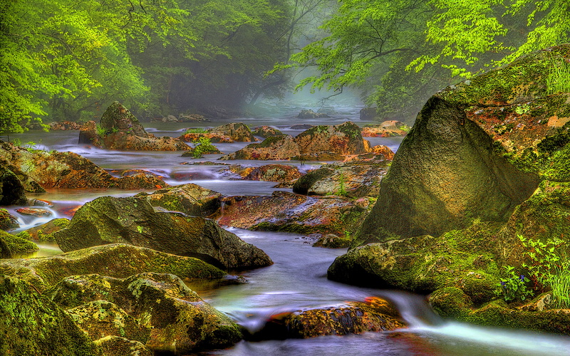 hd, rocky, desktop, background, forest, 2K, river, hdr