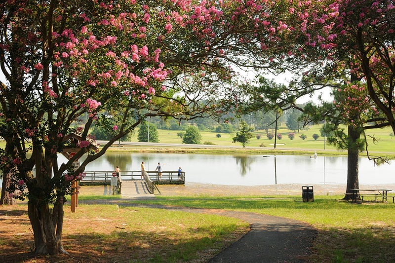 branch, day, tree, grass, petaled, pink, park, river, park bench, louisiana, scenics - nature, water, cherry tree, crape, beauty in nature, growth, nature