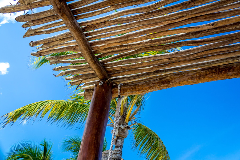 palms, beach, tree, directly below, plant, tropical tree, trunk, day, no people, palm tree, beauty in nature, sky, coconut palm tree, caribe, outdoors