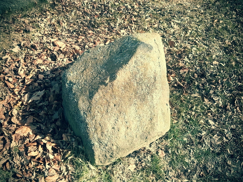 sunny, rock - object, steinig, 1080P, no people, high angle view, close-up, stone, land, solid, away, rock, nature, tranquility, outdoors, plant, tree