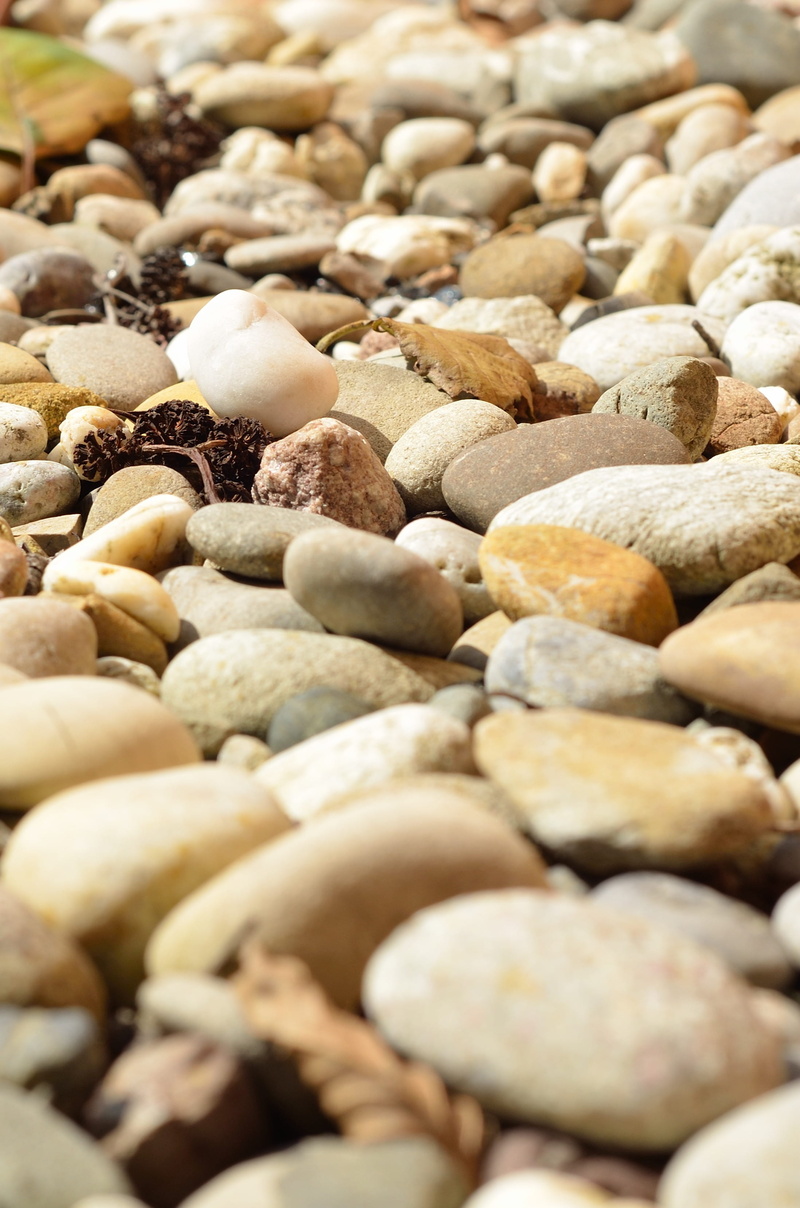 high angle view, food and drink, photography, close, rock, no people, 2K, day, abundance, nature, backgrounds, freshness, pebbles, plump, steinig, assorted