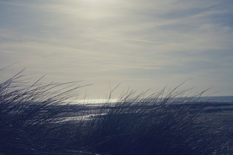beauty in nature, sea, sand dunes, non-urban scene, scenics - nature, horizon over water, barmouth beach, water, nature, grass, cloud - sky, plant, tranquility