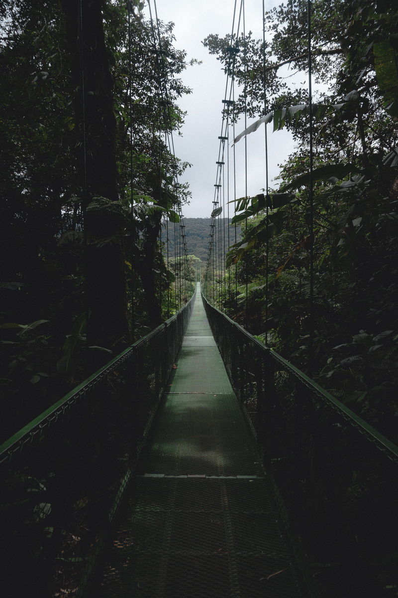growth, diminishing perspective, direction, plant, day, costa rica, connection, railing, 5K, outdoors, the way forward, architecture, sky, long, bridge