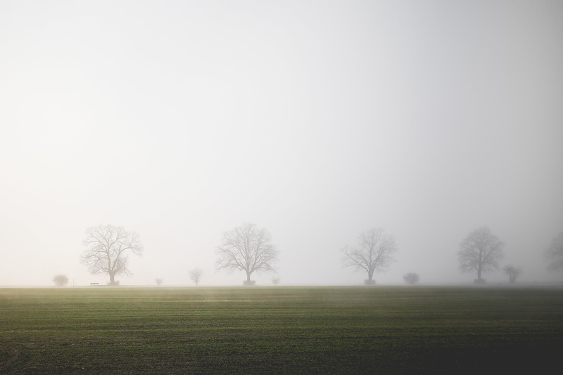 outdoors, relaxation, explore, fog, scenics - nature, scene, wander, no people, tranquil scene, field, achieve, tree, inspiration, motivation, copy space