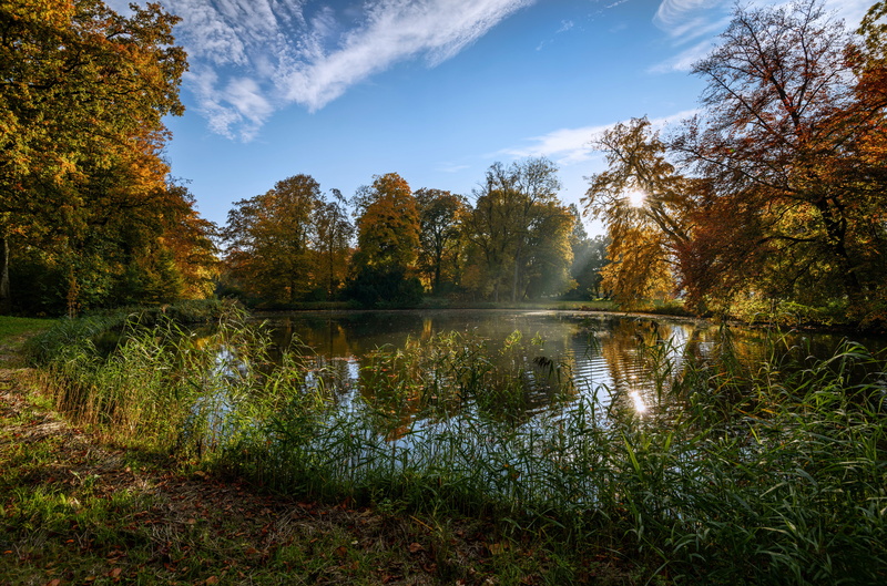 season, scenics, day, pond, woodland, netherlands, color Image, forest, tree, growth, idyllic, leaf, lake, plant, green Color, orange Color, trees, de haar castle park