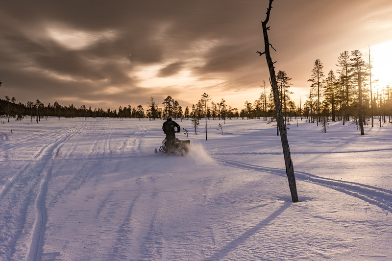 beauty in nature, snow, tree, scenics - nature, cold temperature, winter, field, winter sports, sunset, sky, sport, fun, ski doo, covering, sweden, land