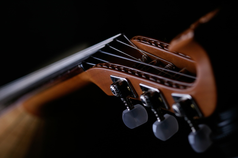 violin, uod, guitar neck, photo, string Instrument, instrument, studio shot, indoors, skill, acoustic guitar, sound, loud, black background, music, musical Instrument