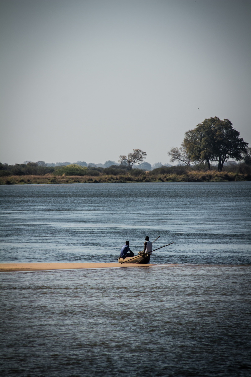 clear sky, safari, copy space, river, sea, tourist, wilderness, day, national, bush, reserve, wildlife, water, nautical vessel, mode of transportation